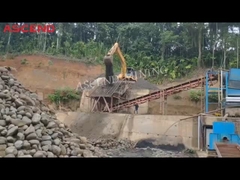 pianta di lavaggio dell'oro