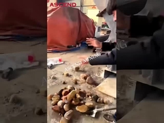 Frantoio fine di alta efficienza